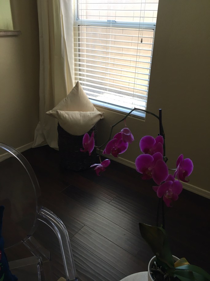 Basket with Pillows - Post 2