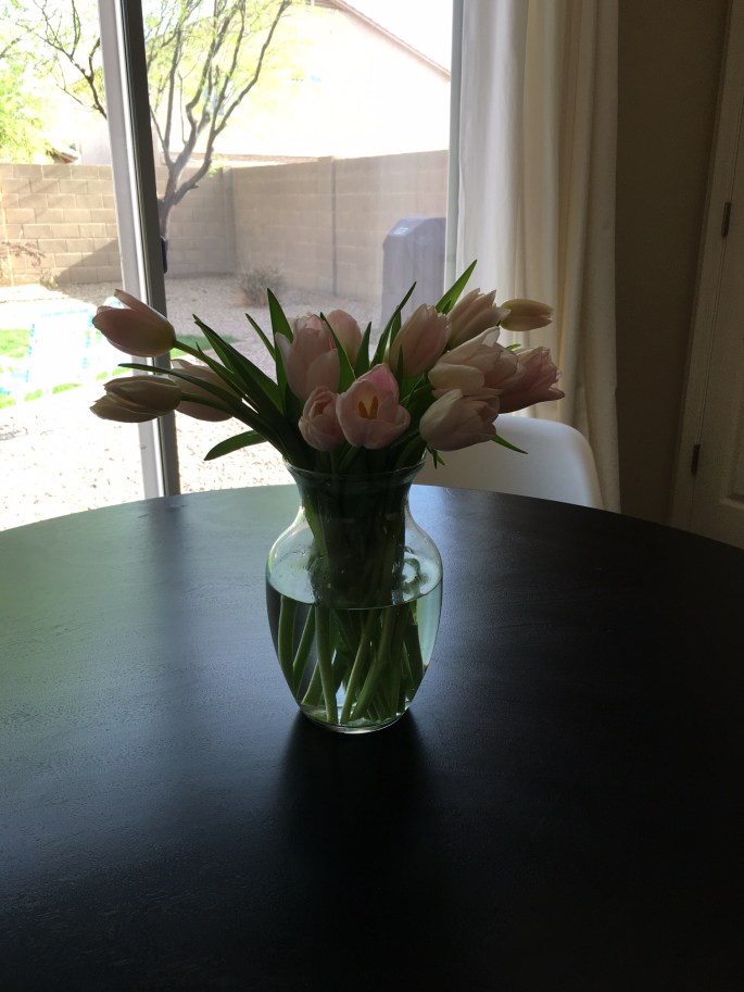 Kitchen Tulips - Post 2
