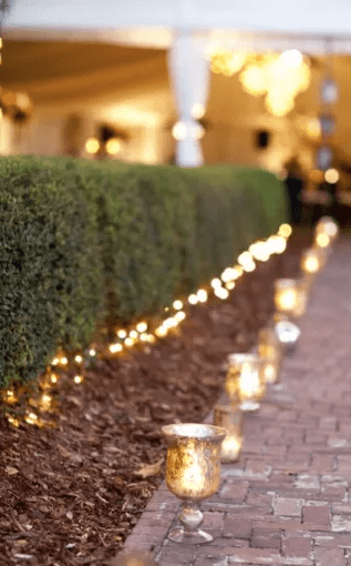 Screen Shot 2017-03-14 at 10.37.33 PM