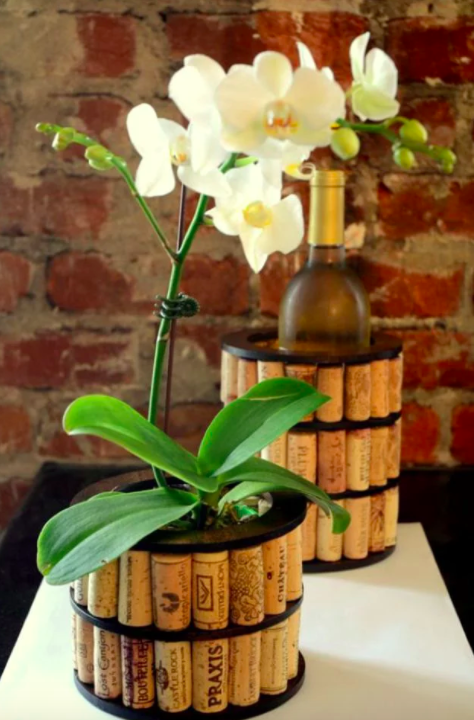 Screen Shot 2017-03-14 at 11.10.30 PM