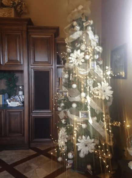 Screen Shot 2017-03-14 at 9.09.48 PM