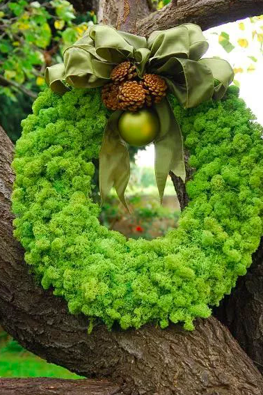 Screen Shot 2017-03-14 at 9.23.07 PM