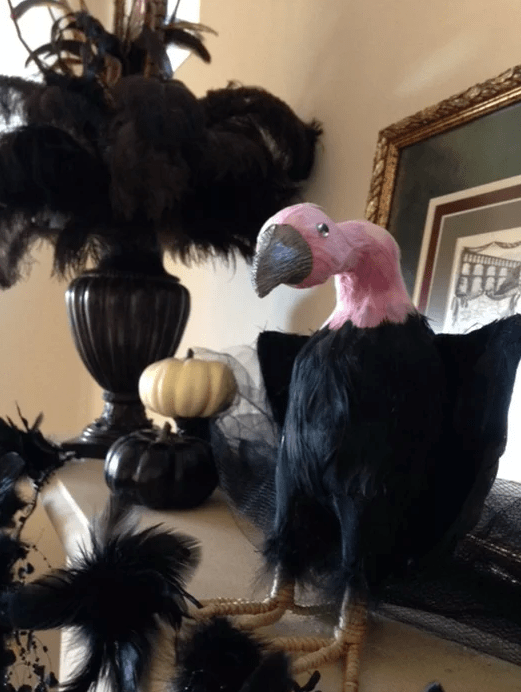 Screen Shot 2017-03-15 at 10.03.09 AM