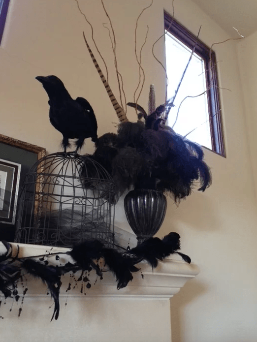 Screen Shot 2017-03-15 at 10.03.50 AM