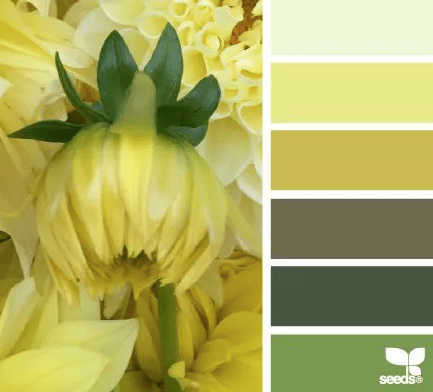 Screen Shot 2017-03-15 at 12.03.30 AM