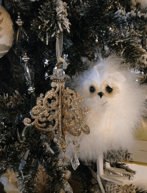 Screen Shot 2017-03-15 at 12.23.22 PM