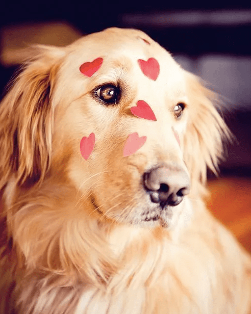 Screen Shot 2017-03-15 at 12.58.56 AM