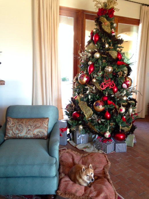 Screen Shot 2017-03-15 at 2.04.46 PM