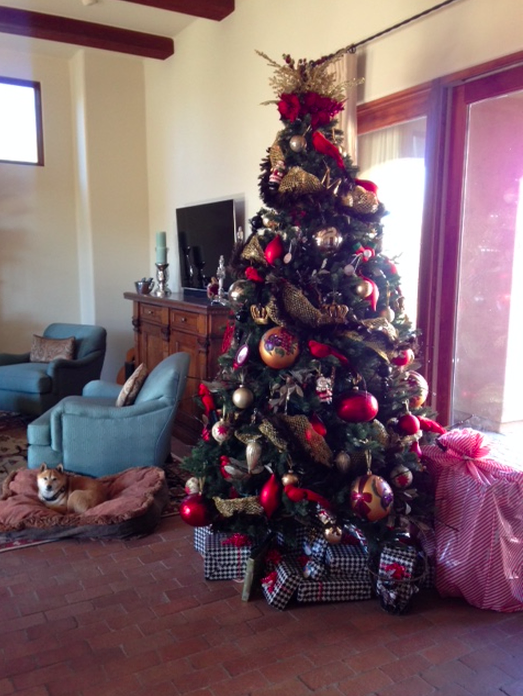 Screen Shot 2017-03-15 at 2.05.24 PM