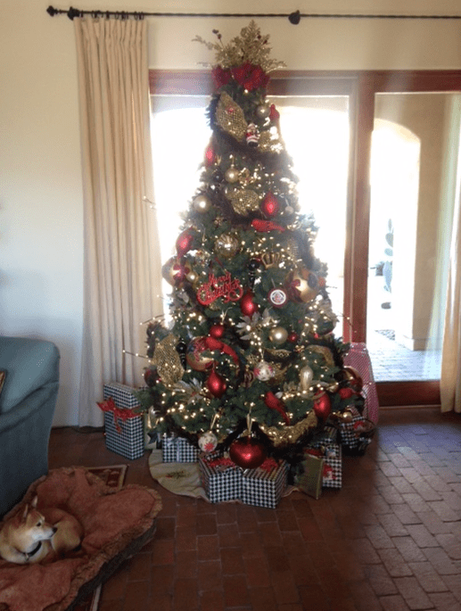 Screen Shot 2017-03-15 at 2.07.21 PM