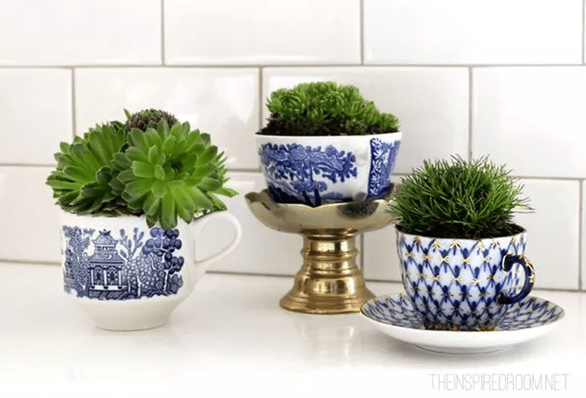 Screen Shot 2017-03-15 at 2.15.21 AM