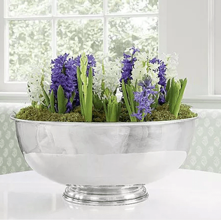 Screen Shot 2017-03-15 at 2.16.07 AM