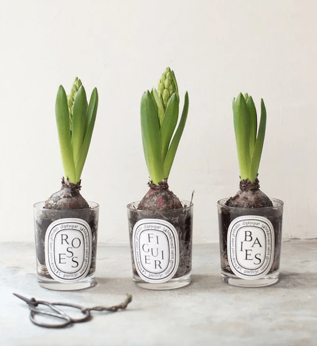 Screen Shot 2017-03-15 at 2.19.23 AM