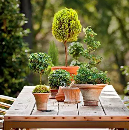 Screen Shot 2017-03-15 at 2.20.13 AM