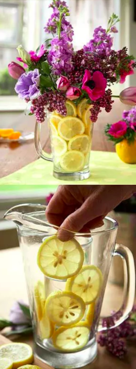 Screen Shot 2017-03-15 at 2.21.04 AM