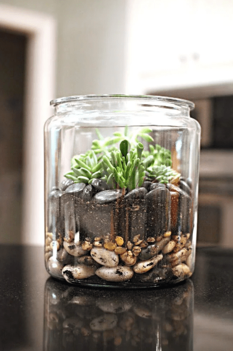 Screen Shot 2017-03-15 at 2.22.55 AM