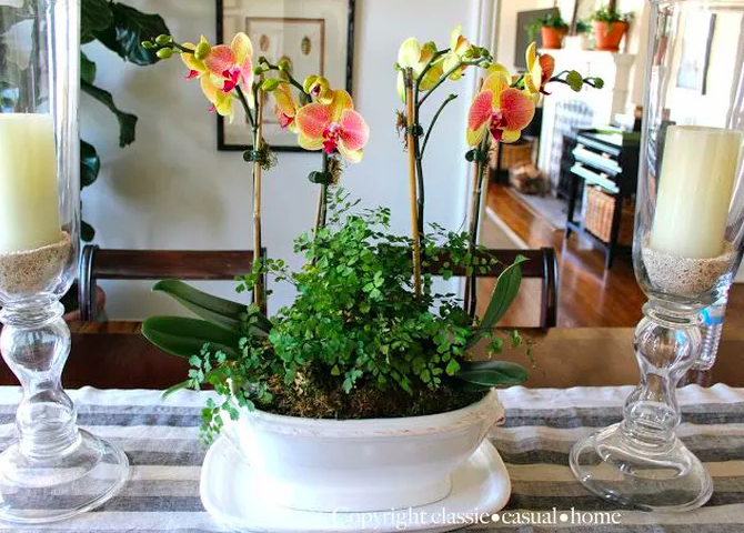 Screen Shot 2017-03-15 at 2.23.47 AM