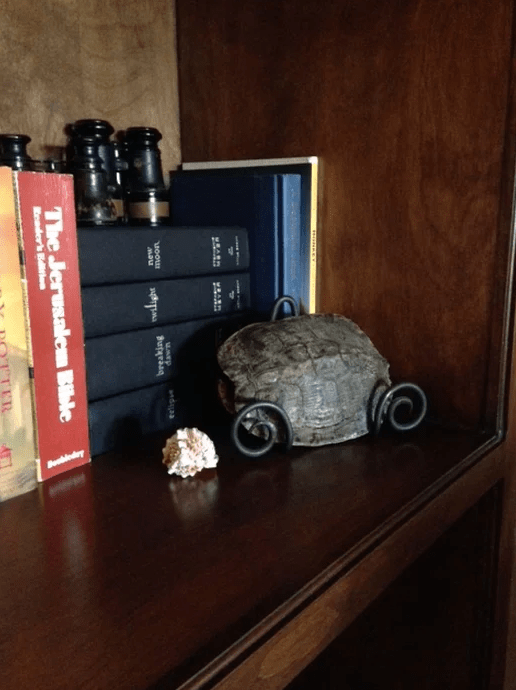 Screen Shot 2017-03-15 at 5.13.39 AM