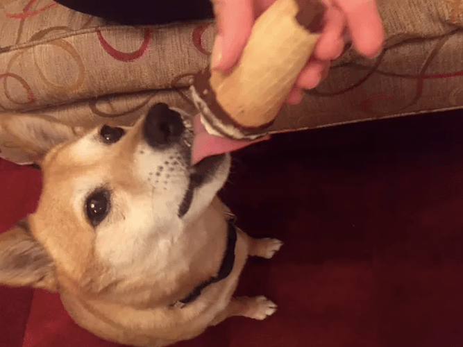 Screen Shot 2017-03-15 at 5.37.08 AM