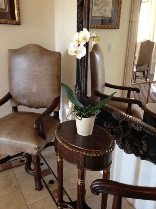 Screen Shot 2017-03-15 at 5.38.24 AM