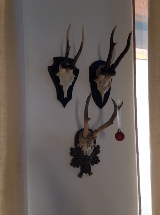 Screen Shot 2017-03-15 at 6.39.12 PM