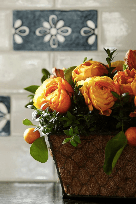 Screen Shot 2017-03-15 at 7.00.58 AM