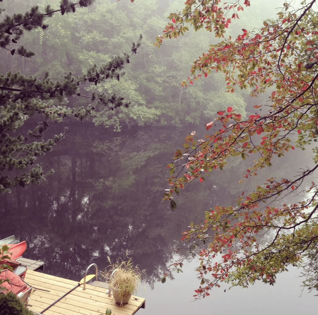 Screen Shot 2017-03-15 at 9.24.34 AM