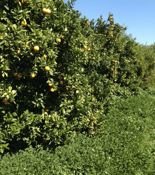 Screen Shot 2017-03-15 at 9.47.37 PM