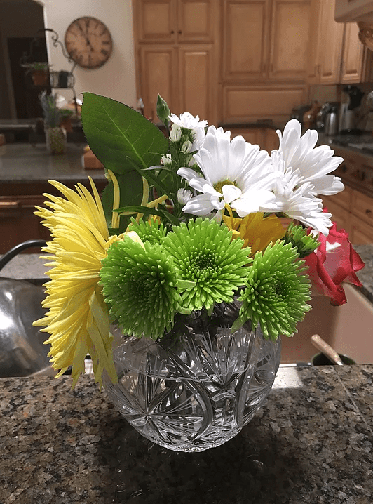 Screen Shot 2017-03-16 at 10.12.44 PM