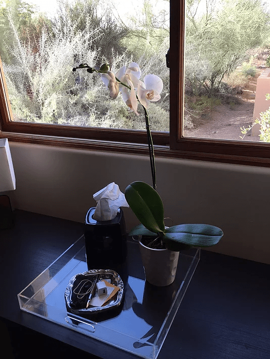 Screen Shot 2017-03-16 at 10.15.29 PM