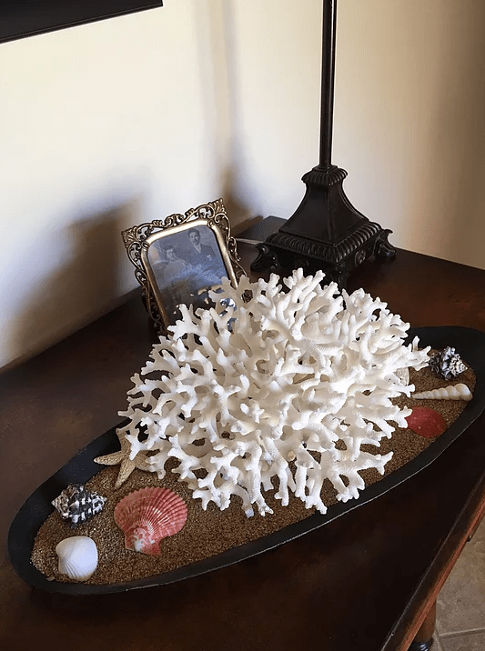 Screen Shot 2017-03-16 at 10.23.01 PM