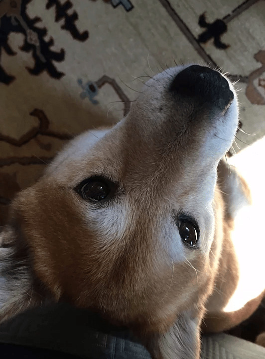 Screen Shot 2017-03-16 at 10.28.11 PM