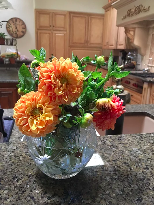 Screen Shot 2017-03-16 at 10.47.12 PM