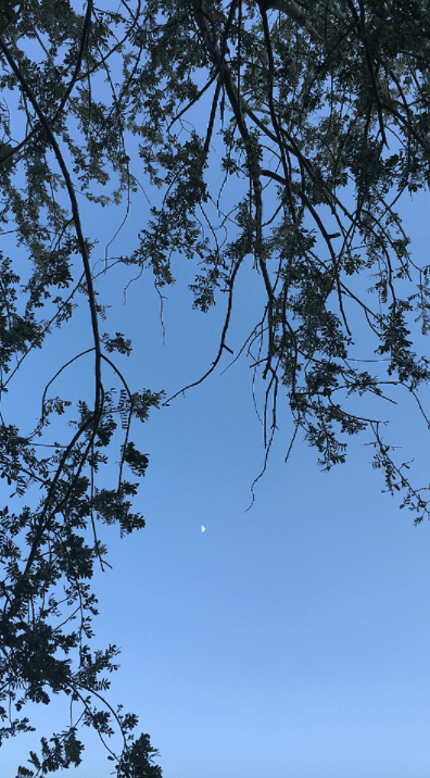 Screen Shot 2017-03-16 at 10.48.26 PM