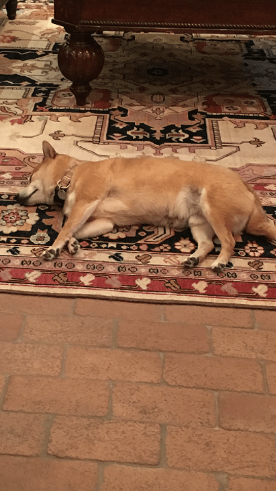 Screen Shot 2017-03-16 at 10.49.34 PM