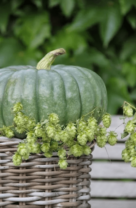 Screen Shot 2017-03-16 at 11.12.20 PM