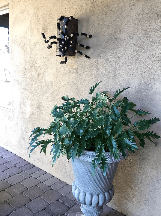 Screen Shot 2017-03-16 at 11.59.48 PM