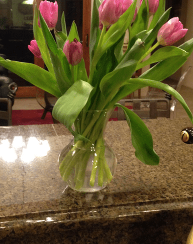 Screen Shot 2017-03-16 at 5.37.05 PM