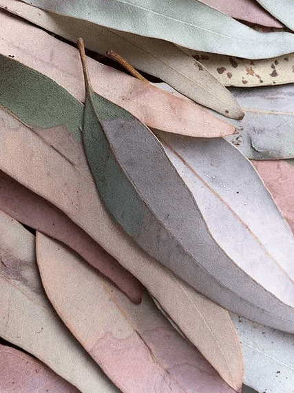 Screen Shot 2017-03-16 at 6.16.18 PM