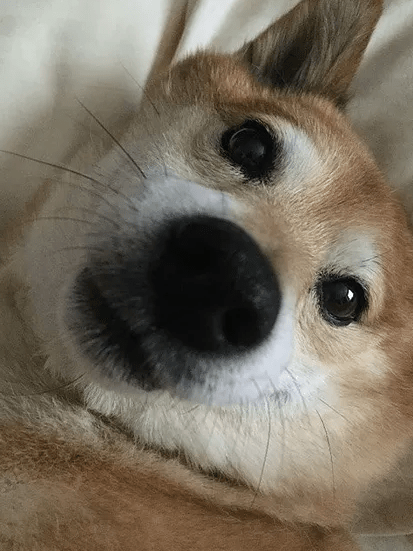 Screen Shot 2017-03-16 at 6.54.45 PM