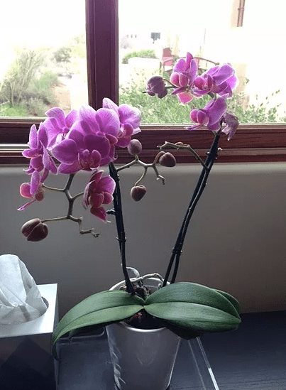 Screen Shot 2017-03-16 at 6.55.46 PM