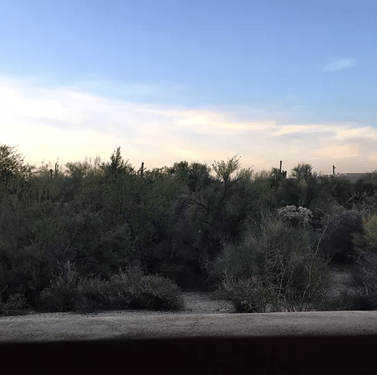 Screen Shot 2017-03-16 at 7.42.56 PM