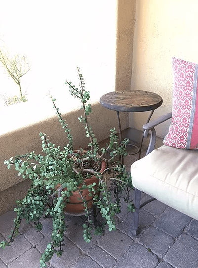 Screen Shot 2017-03-16 at 7.50.55 PM