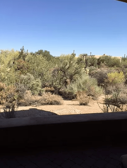 Screen Shot 2017-03-16 at 7.52.17 PM