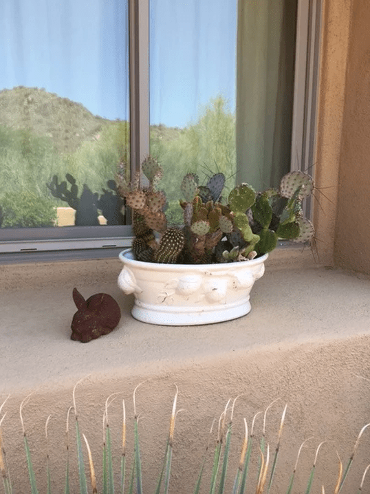 Screen Shot 2017-03-16 at 8.05.24 PM