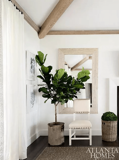 Screen Shot 2017-03-17 at 11.51.37 AM