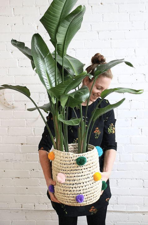 Screen Shot 2017-03-17 at 11.53.01 AM