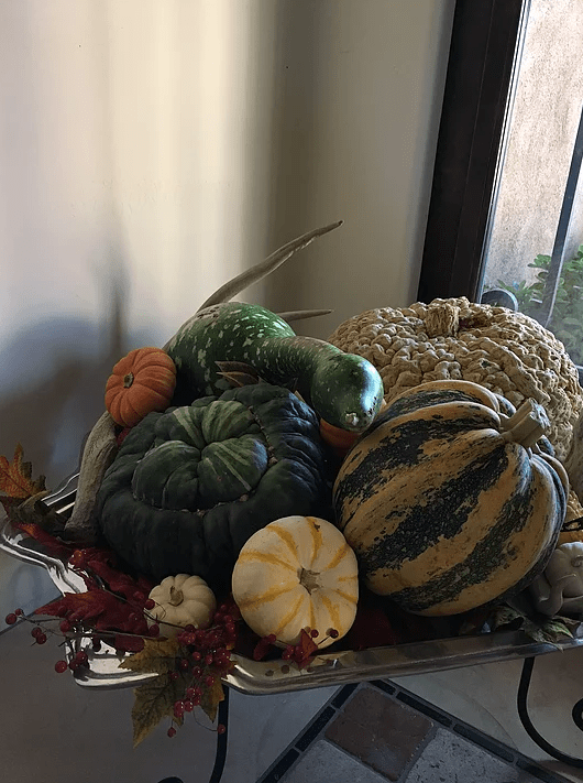 Screen Shot 2017-03-17 at 12.02.07 AM