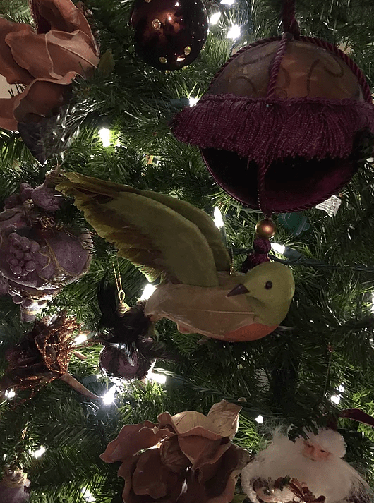 Screen Shot 2017-03-17 at 12.41.22 PM