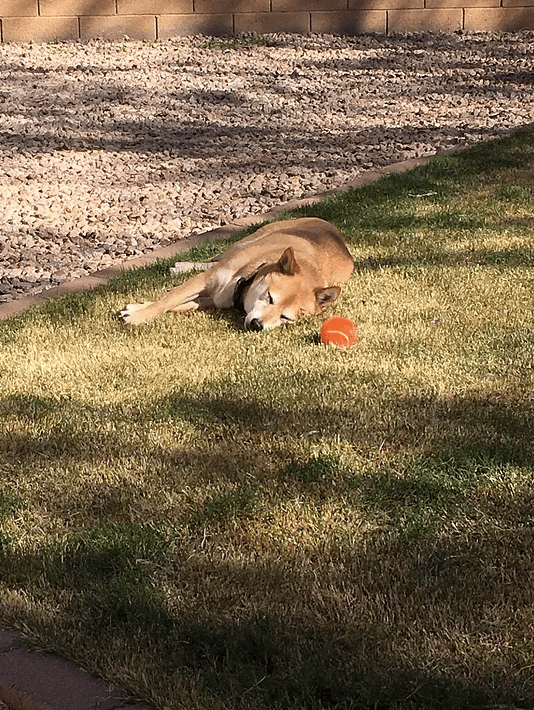 Screen Shot 2017-03-18 at 5.25.42 PM